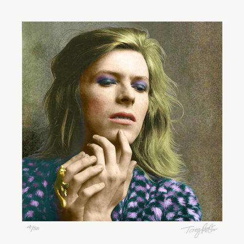 Terry Pastor - David Bowie - Hunky Dory Take 2